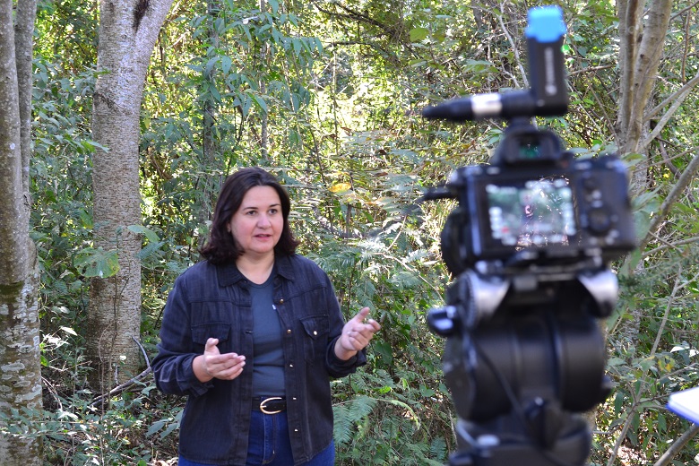 Foto no tamanho 230 pixels de largura por 136 pixels de altura