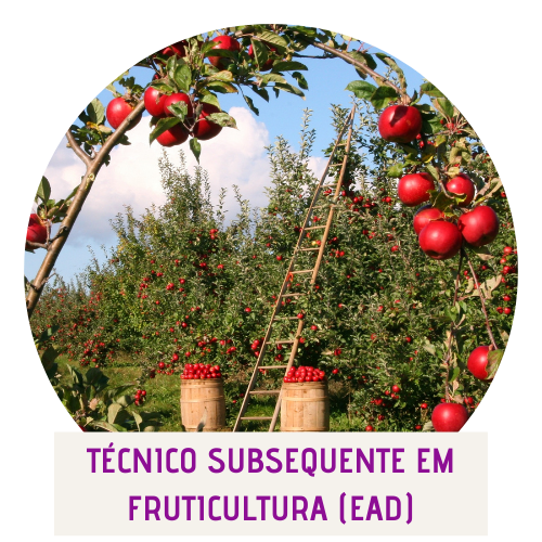 Curso Técnico Subsequente em Fruticultura EaD