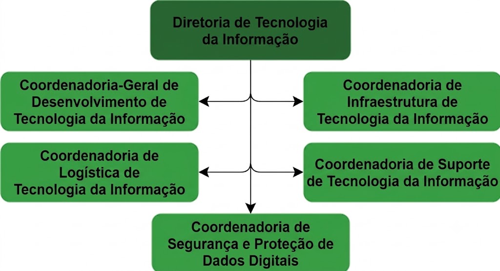 DTI novo organograma