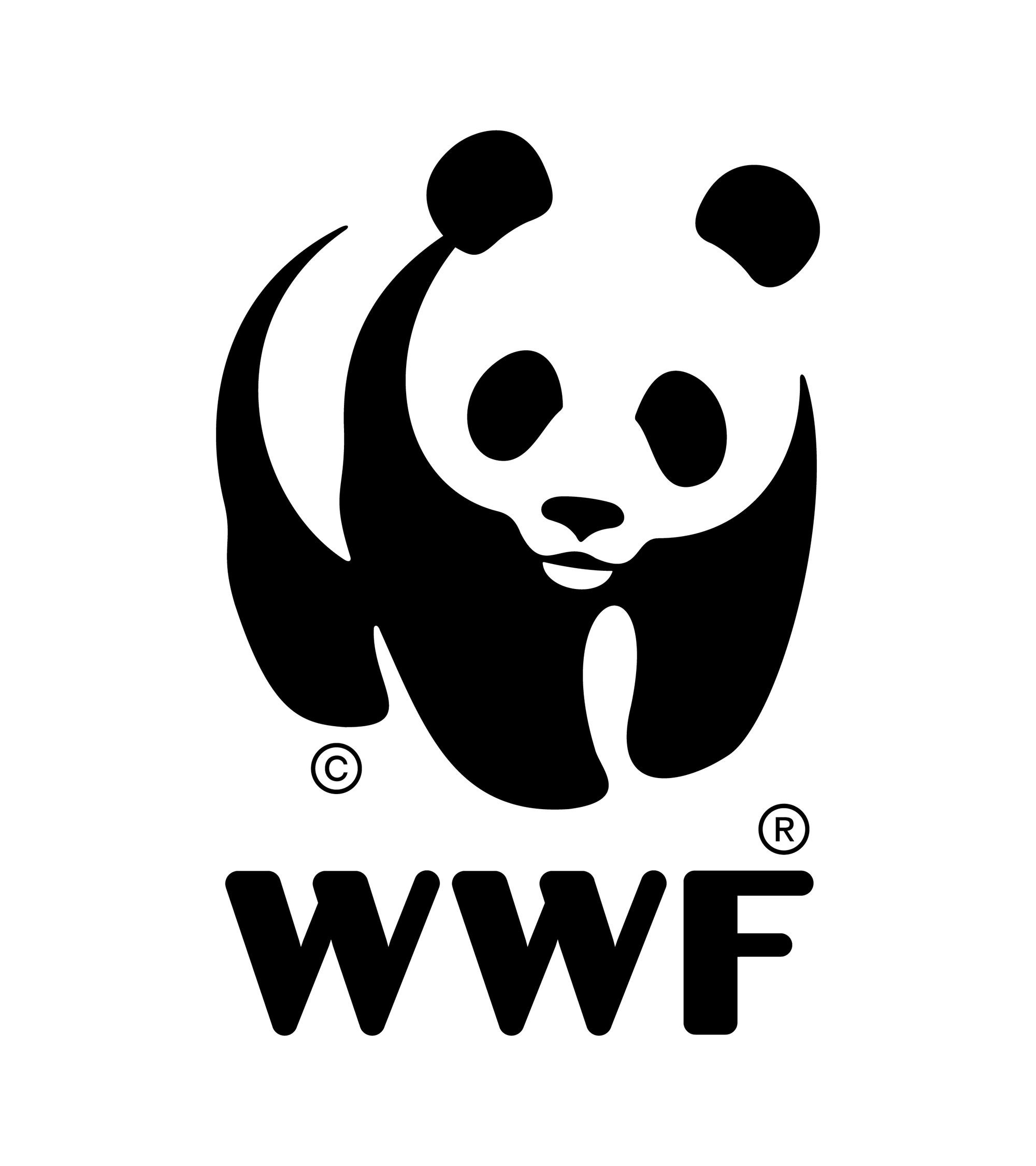 WWF Logo Large RGB 72dpi