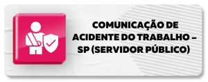 segurança trabalho 6 300